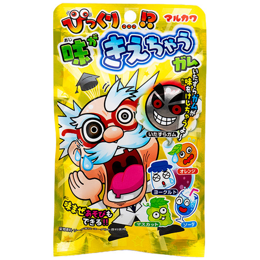 味が消えちゃうガム　10入り