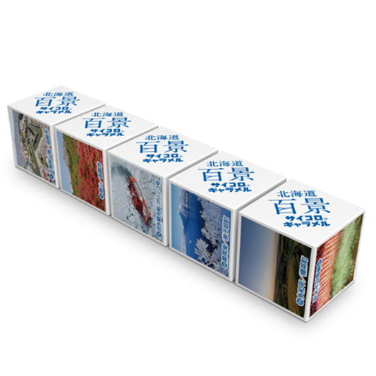 北海道百景サイコロキャラメル　2粒×5箱　5セット